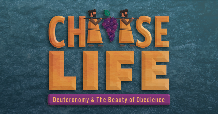 Discovery Bible Study DBS Bookmarks New Day Resources Murfreesboro discovery-bible-study-dbs-bookmarks-new-day-resources-murfreesboro